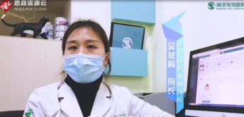 了不起的寵物<em>醫(yī)生</em>吳冬梅：因?yàn)闊釔郏詧?jiān)守