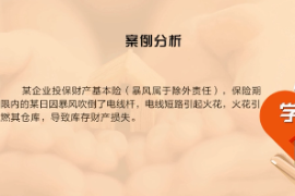 《近因原則—<em>暴風</em>責任》近因判斷