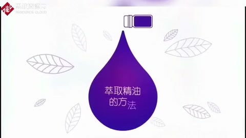 萃取精油的方法有哪些呢？你不一定知道！