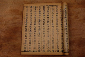 <em>明代</em>養魚著作——《魚經》