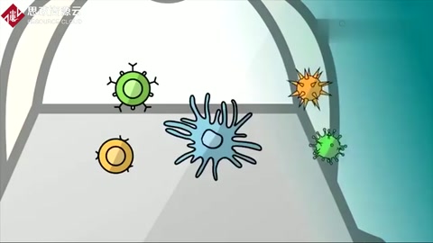 不到2分鐘，讓你認識Crispr-cas9<em>基因</em><em>編輯</em>技術的原理，太先進了！