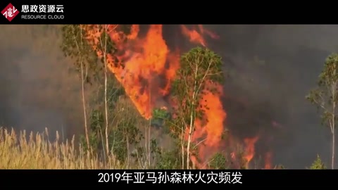 一分鐘了解2019年亞馬孫森林火災(zāi)