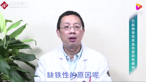 引起缺鐵性貧血的原因有哪些