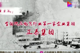<em>正</em>泰集團(tuán)