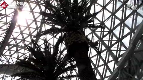 青島世博園景區(qū)的植物館