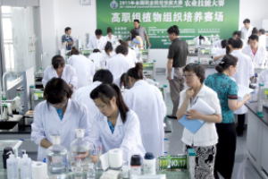<em>全國</em>高職組植物組織<em>培養</em>技能<em>大賽</em>現場裁判