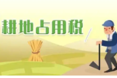 <em>授課</em><em>圖片</em>—<em>土地</em><em>開發(fā)</em>（耕地占用稅）