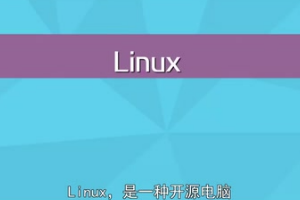 初步了解<em>Linux</em>操作系統(tǒng)