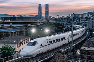 厲<em>害了</em>，<em>我</em><em>的</em><em>國</em>
