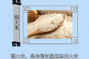 <em>鎘</em><em>大米</em>—<em>鎘</em>含量<em>超標</em>的<em>大米</em>