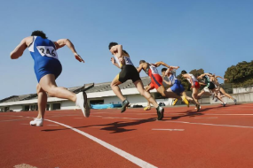 <em>運動</em><em>訓(xùn)練</em>—田徑（<em>圖</em><em>2</em>）