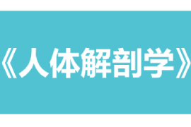 <em>課件</em>：康復治療學、<em>護理</em>學、<em>助產</em>學<em>專業</em>《人體解剖學》