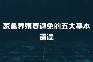 <em>家禽</em>養(yǎng)殖要避免<em>的</em>五大基本錯(cuò)誤