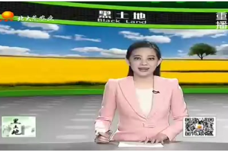 哺乳仔豬怎么養(yǎng)？農(nóng)業(yè)服務(wù)站為您帶來飼養(yǎng)哺乳仔豬的技術(shù)要點(diǎn)
