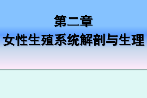 <em>課件</em>：《<em>婦產(chǎn)科</em><em>護(hù)理學(xué)</em>—第二章 <em>女性</em><em>生殖系統(tǒng)</em>解剖與生理》
