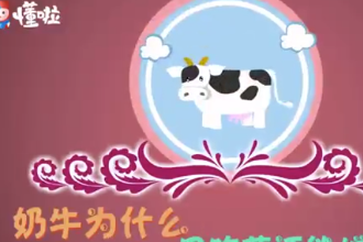 奶牛為什么只吃草還能增肌呢？