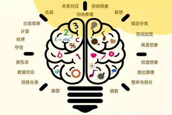 幼兒邏輯思維<em>發(fā)展</em><em>的</em>過程