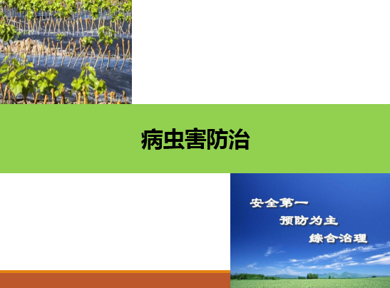 <em>園藝</em><em>技術</em><em>專業</em>：《<em>果樹</em>生產創新模塊—病蟲害防治》<em>課程</em><em>思</em>政<em>案例</em>