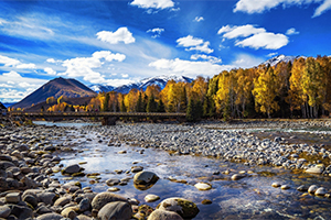 <em>定制</em><em>旅行</em><em>管理</em><em>與</em><em>服務</em><em>專業</em>：《<em>旅游</em><em>市場營銷</em>》課程<em>思</em><em>政</em>案例