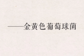 帶你<em>了解</em>金黃色葡萄球菌