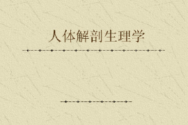 課件：藥學專業《人體解剖生理學》