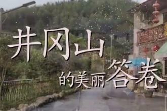 井岡山，煥發(fā)高質(zhì)量發(fā)展的光彩