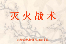 <em>課件</em>：消防指揮<em>專業(yè)</em>《<em>滅火</em><em>戰(zhàn)術(shù)</em>—概念》