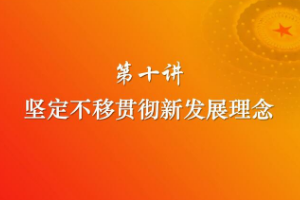 堅定不移貫徹新<em>發(fā)展</em><em>理念</em>