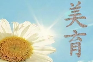 <em>課程標(biāo)準(zhǔn)</em>：<em>通</em><em>識(shí)</em><em>課</em>《<em>美育</em>課程》<em>課程標(biāo)準(zhǔn)</em>