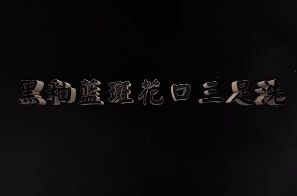 <em>中華</em><em>傳統(tǒng)文化</em>—黑<em>釉</em>藍(lán)斑花口三足洗
